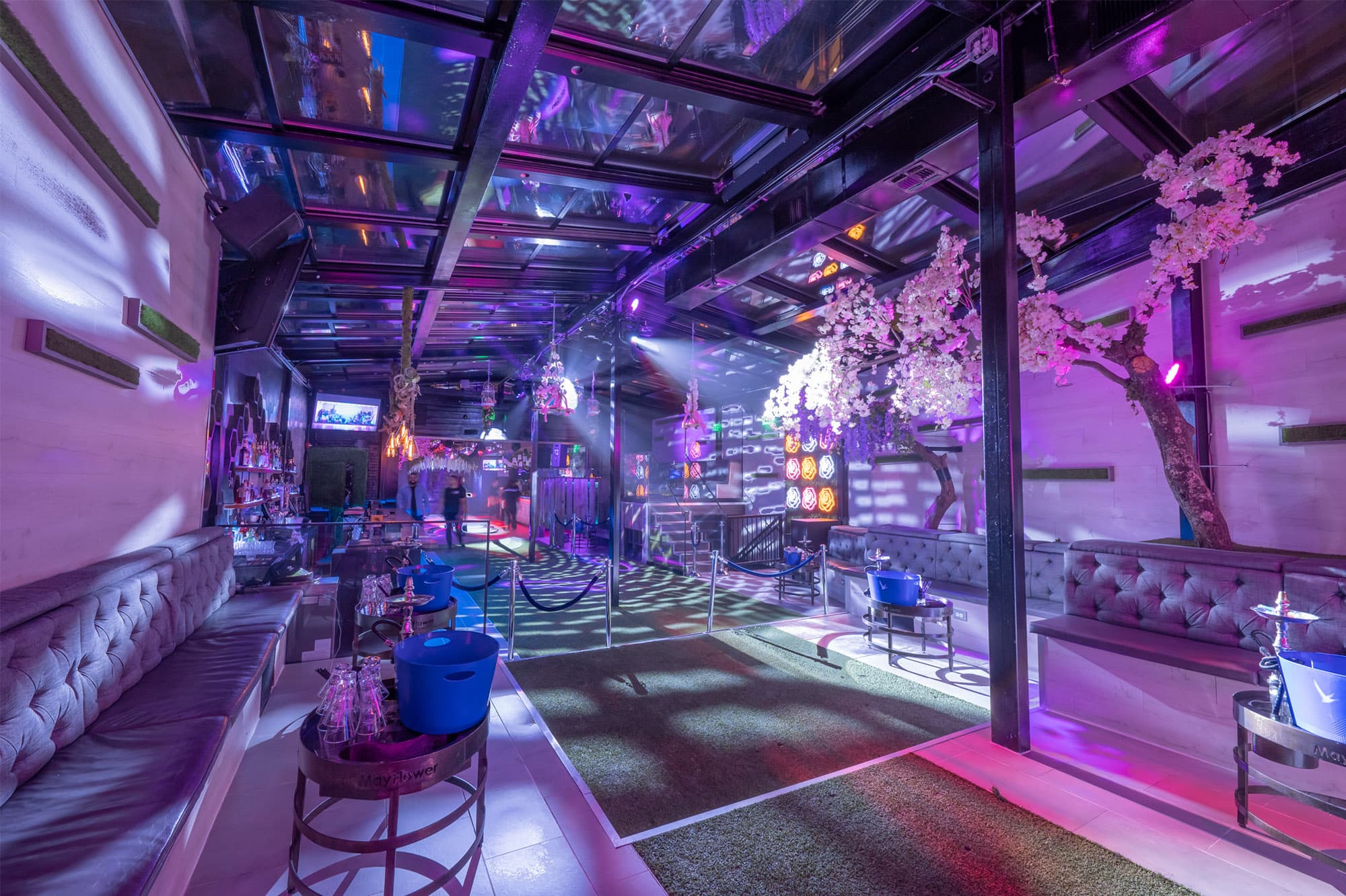 Everything Nice Day Party at Zebbie's Garden